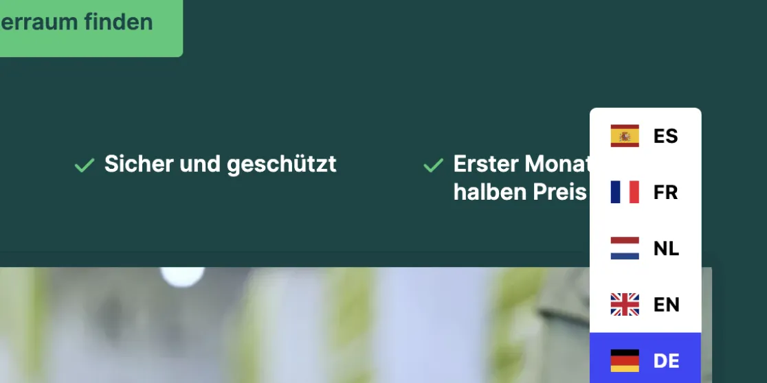 Multilingual websites